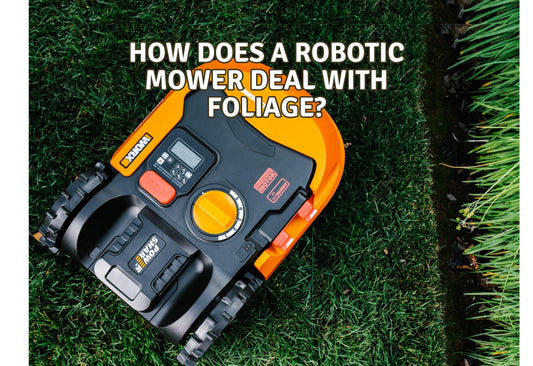How Does a Robotic Lawnmower Deal with Foliage? (leaves, flax vines)
