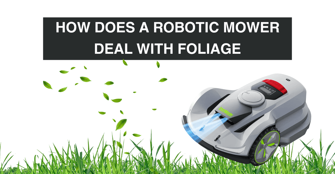 How Does a Robotic Lawnmower Deal with Foliage? (leaves, flax vines)