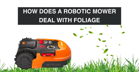 How Does a Robotic Lawnmower Deal with Foliage? (leaves, flax vines)