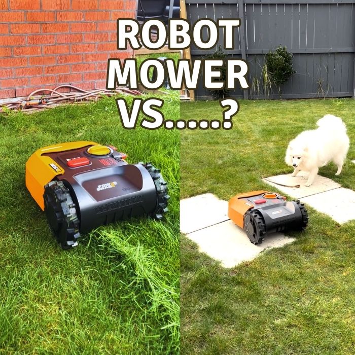 Robot Mower Vs Pets